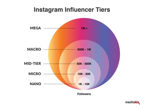 Influencer Types: Nano, Micro, Macro, and Mega .